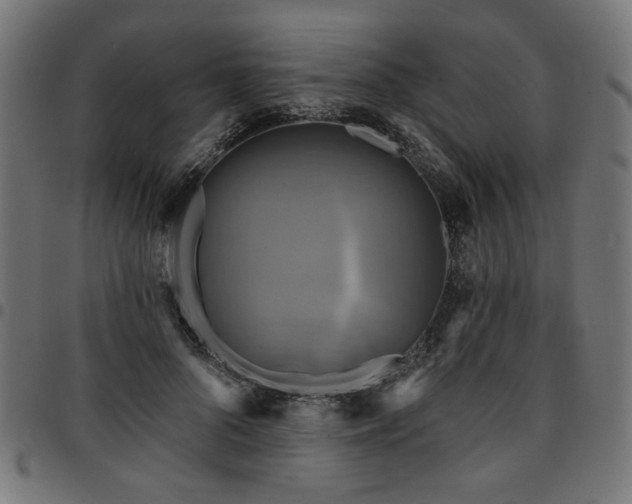 X0000095530696200712141502