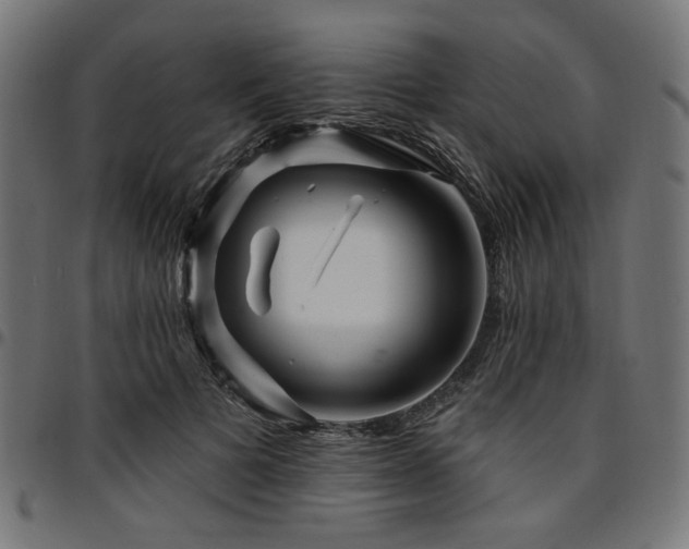 X0000095530697200712141502