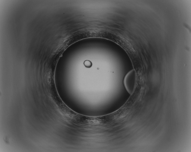 X0000095530698200712141502