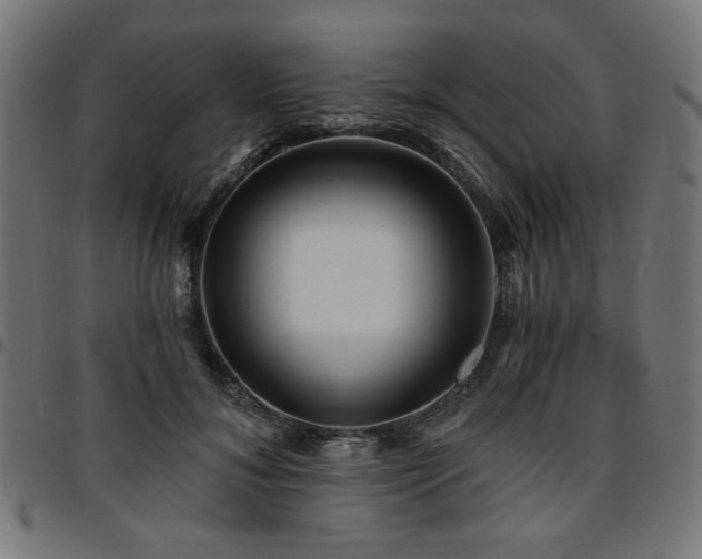 X0000095530700200712141502