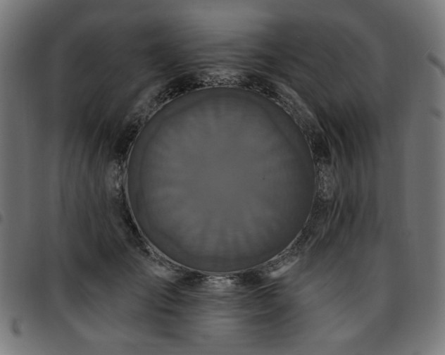 X0000095530701200712141502