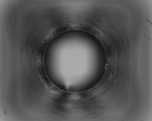 X0000095530702200712141502