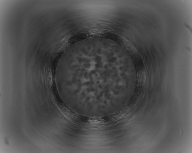 X0000095530703200712141502