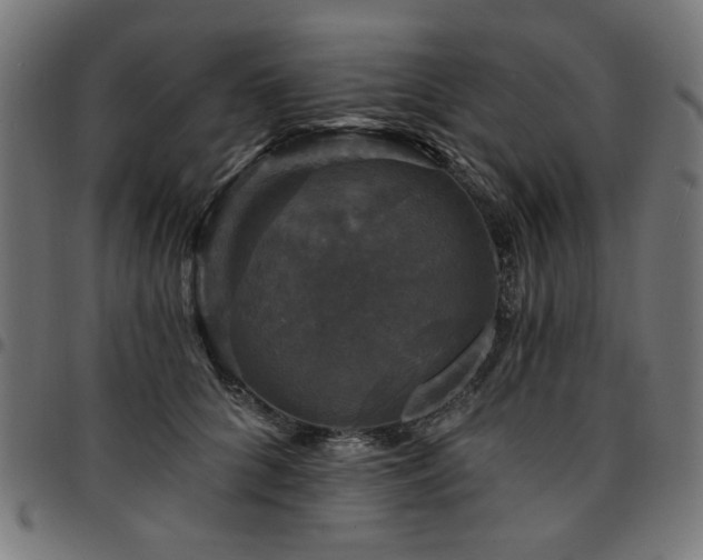 X0000095530704200712141502
