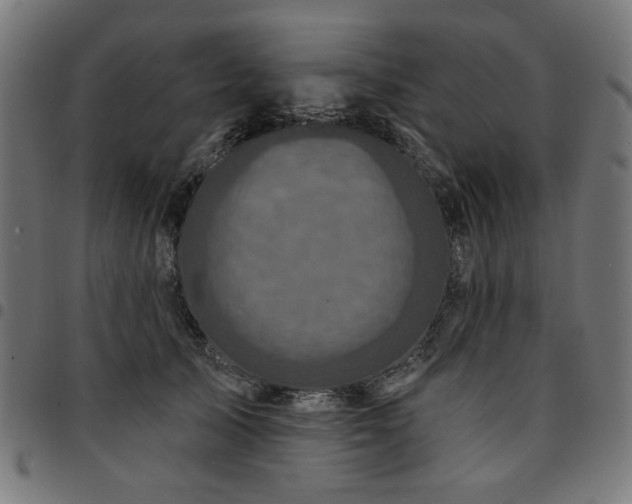 X0000095530705200712141502