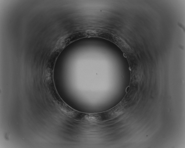 X0000095530706200712141502