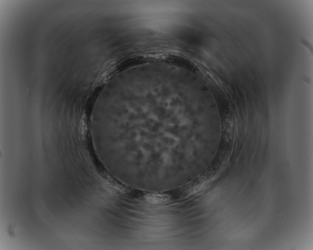 X0000095530707200712141502