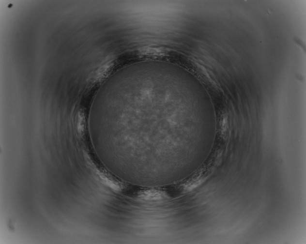 X0000095530708200712141502