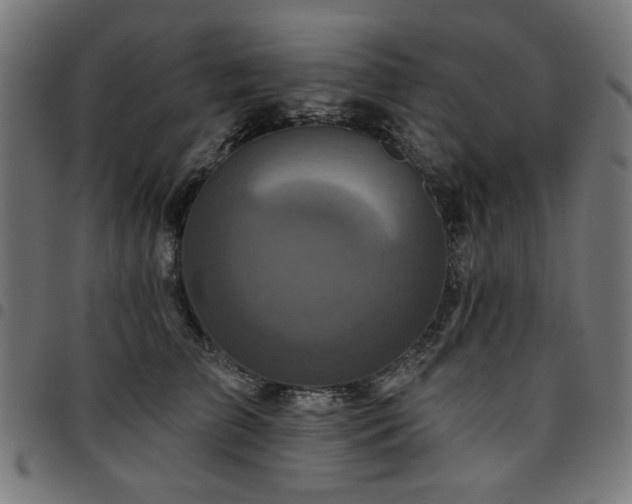 X0000095530709200712141502