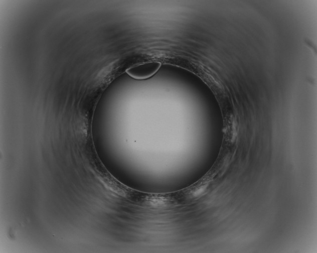 X0000095530710200712141502