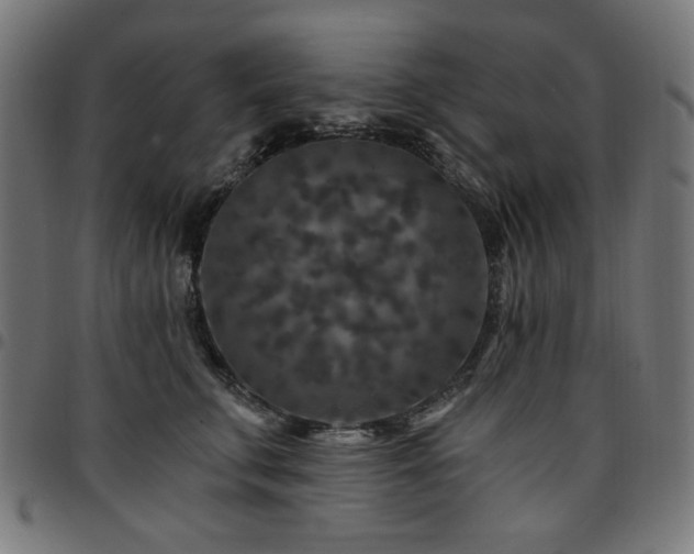 X0000095530711200712141502