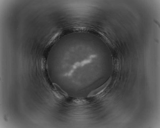 X0000095530712200712141502