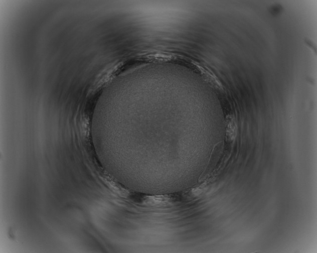 X0000095530713200712141502