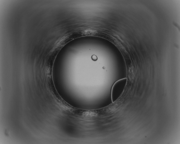 X0000095530714200712141502