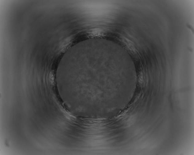 X0000095530715200712141502