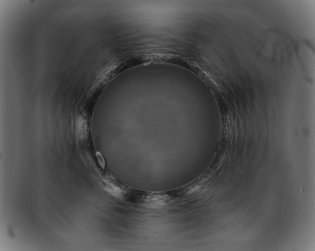 X0000095530716200712141502