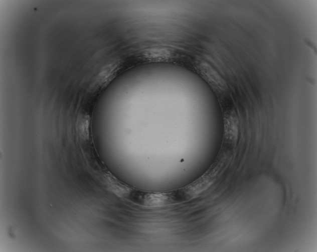 X0000095530717200712141502
