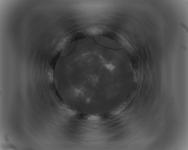 X0000095530718200712141502