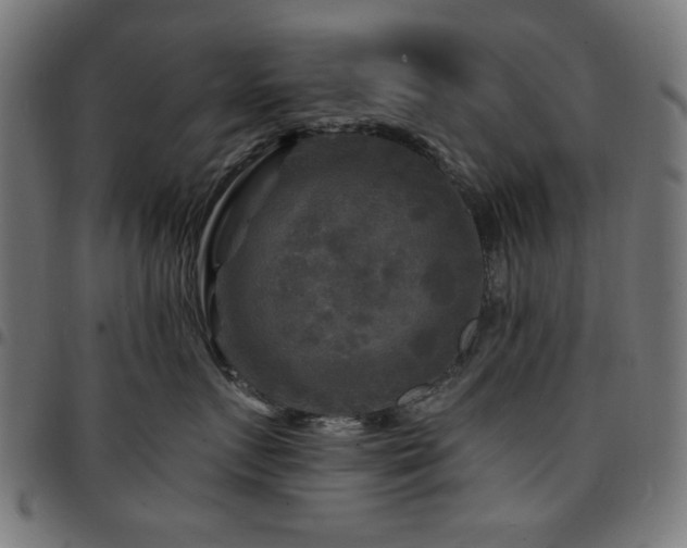 X0000095530719200712141502