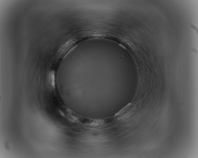 X0000095530720200712141502