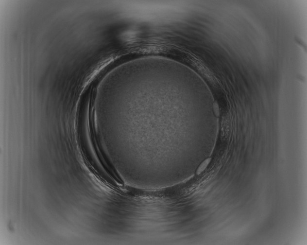X0000095530722200712141501