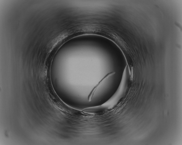X0000095530723200712141501