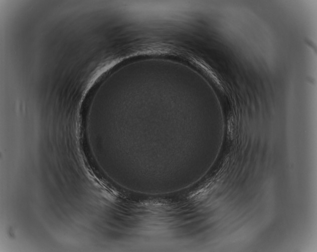 X0000095530724200712141501