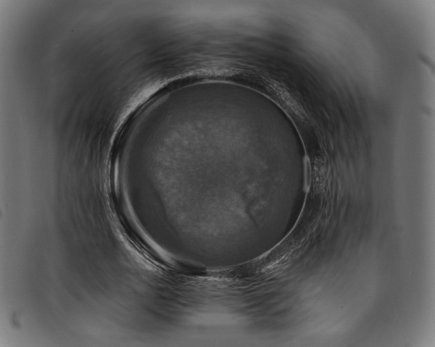 X0000095530726200712141501