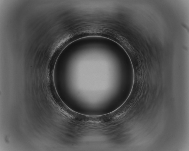 X0000095530727200712141501