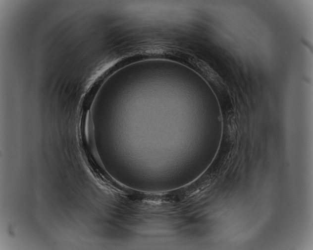 X0000095530728200712141501
