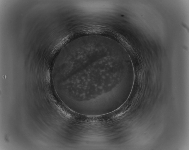 X0000095530729200712141501