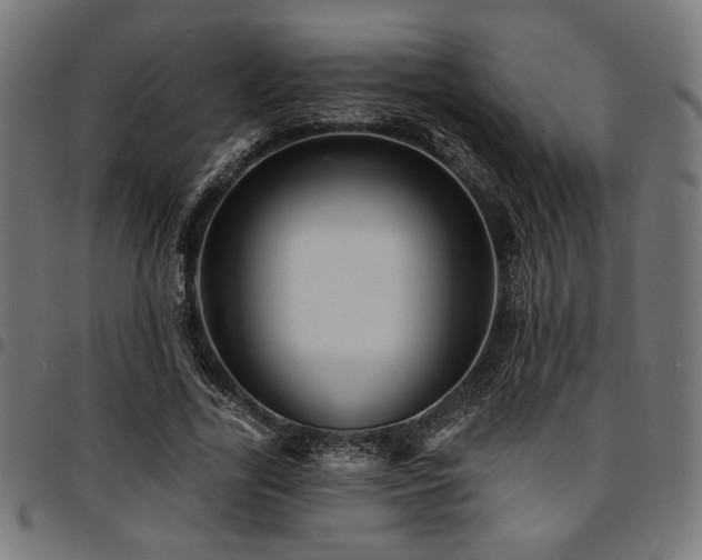 X0000095530731200712141501