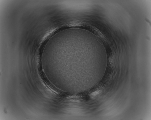 X0000095530732200712141501