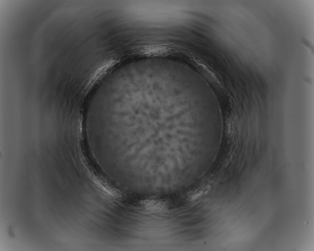 X0000095530733200712141501
