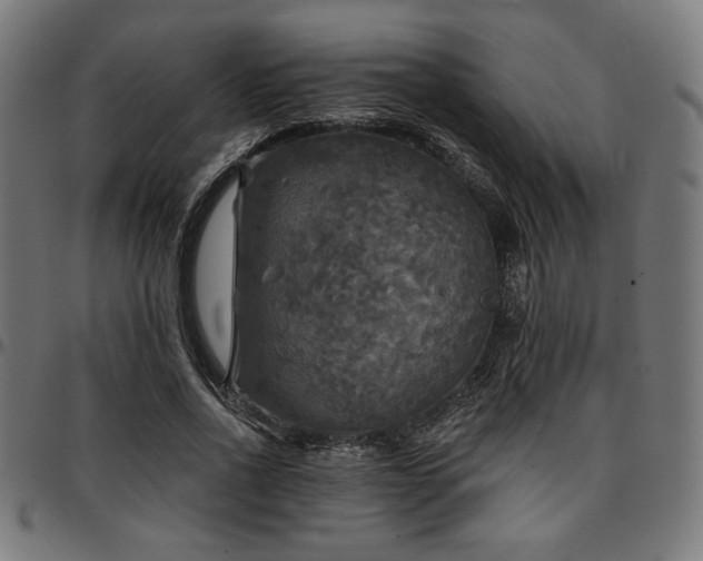 X0000095530734200712141501