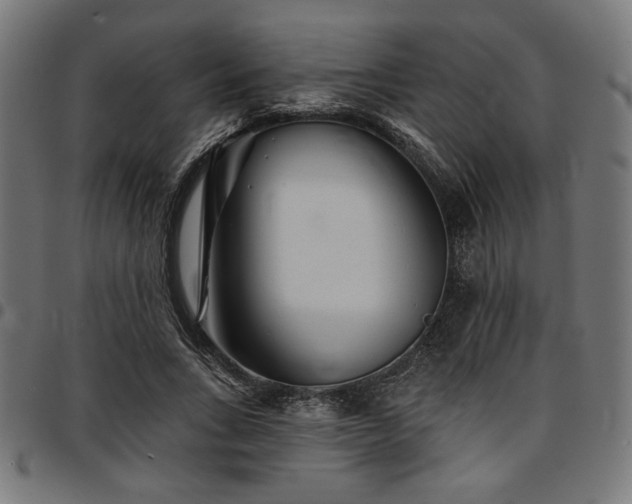 X0000095530735200712141501