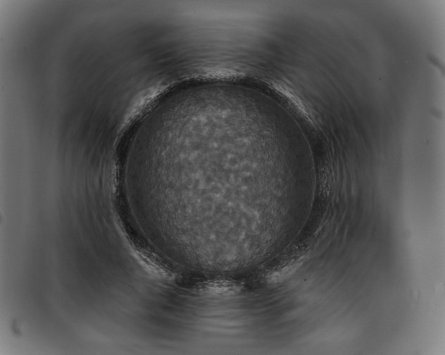 X0000095530736200712141501