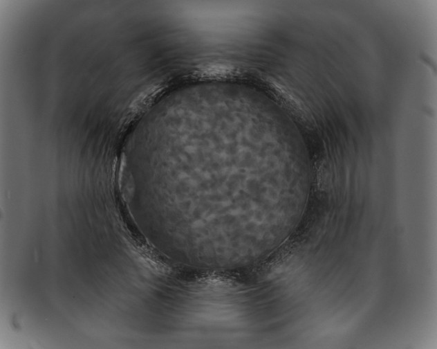 X0000095530737200712141501