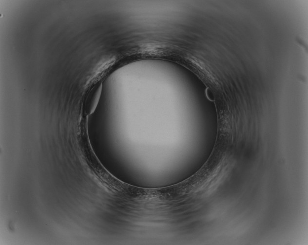 X0000095530738200712141502