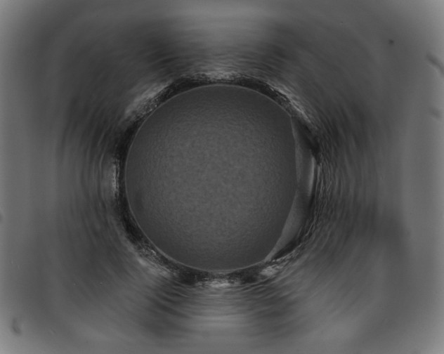 X0000095530740200712141502