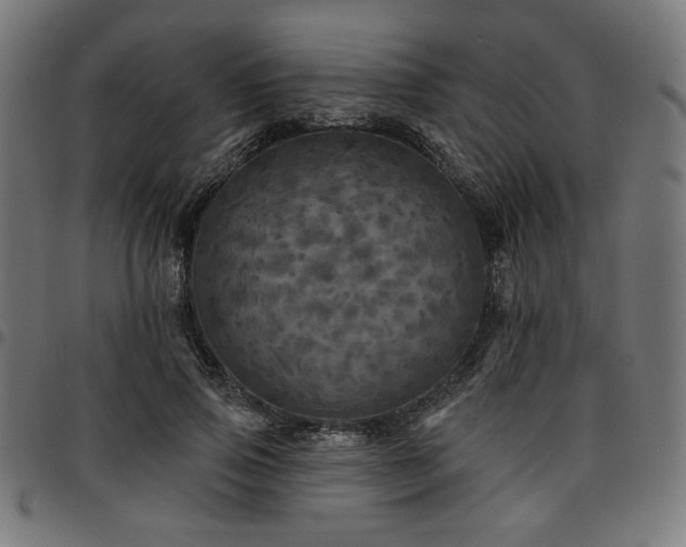 X0000095530741200712141502