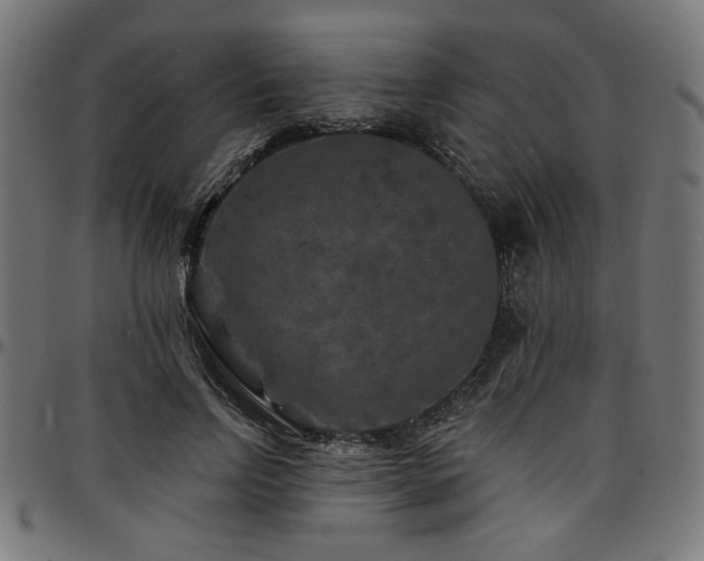 X0000095530742200712141502