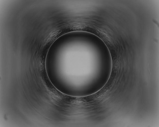 X0000095530743200712141502