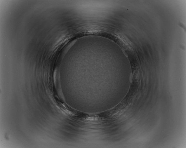 X0000095530744200712141502