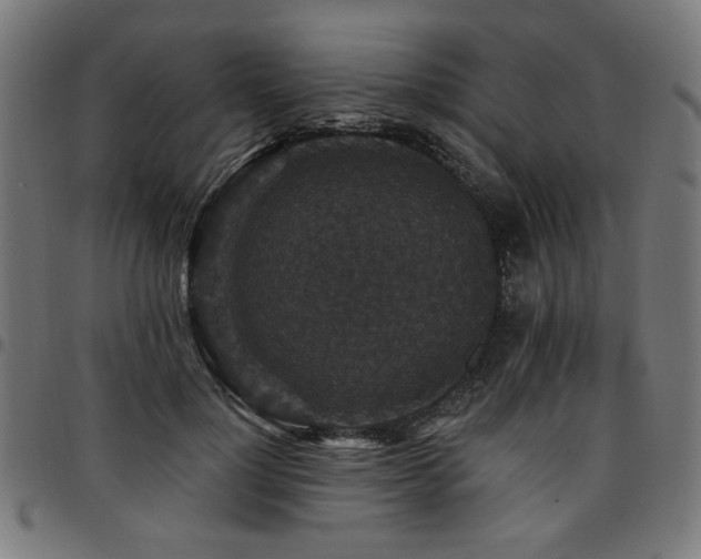 X0000095530748200712141502