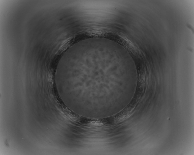 X0000095530749200712141502