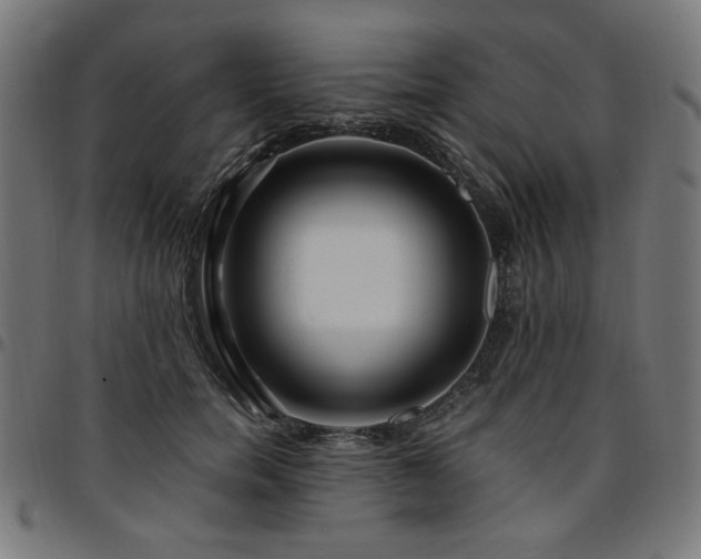X0000095530750200712141502