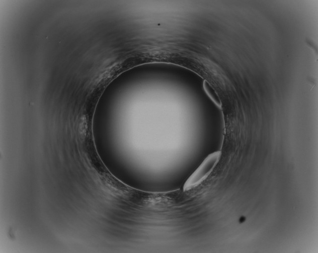 X0000095530752200712141502