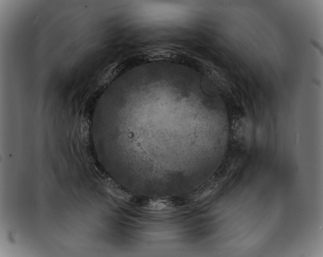 X0000095530753200712141502