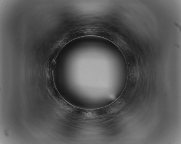 X0000095530755200712141502